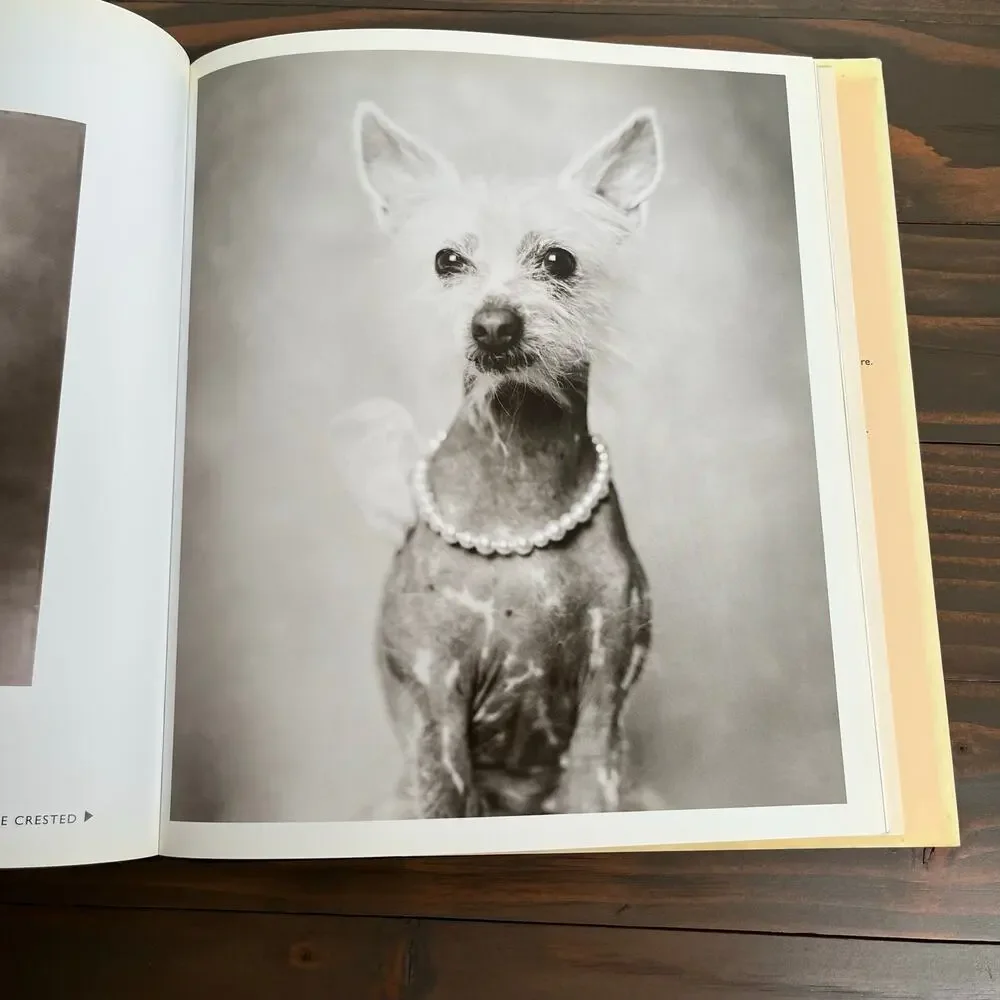 101 Salvations For The Love Of Dogs by Rachael Hale Hardcover Bulfinch Press
